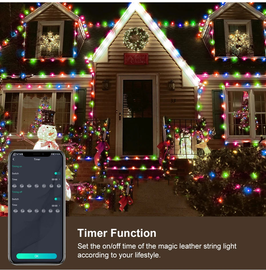 50M 20M 10M 5M 1M Christmas Lights LED