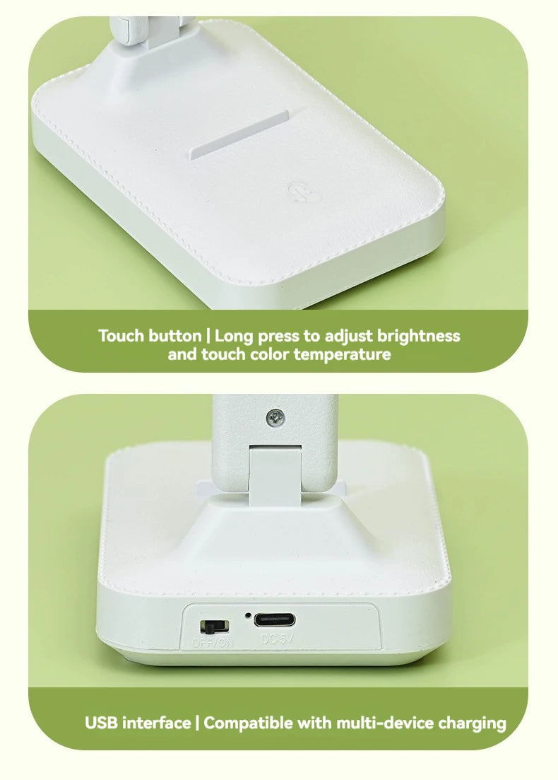 Dual Head LED Desk Lamp