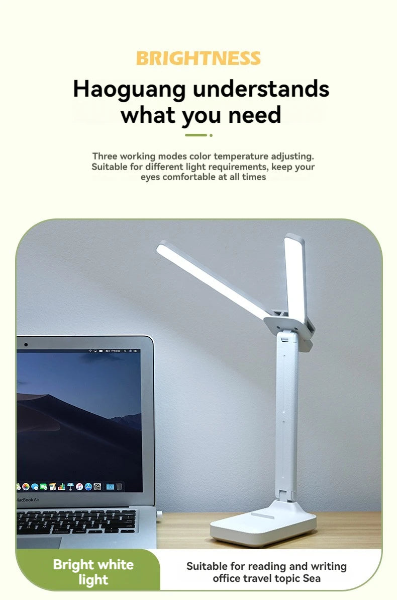 Dual Head LED Desk Lamp