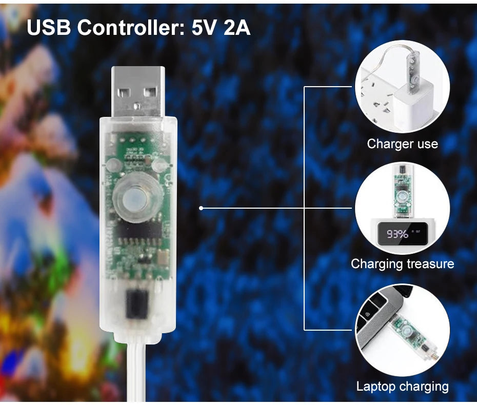 50M 20M 10M 5M 1M Christmas Lights LED