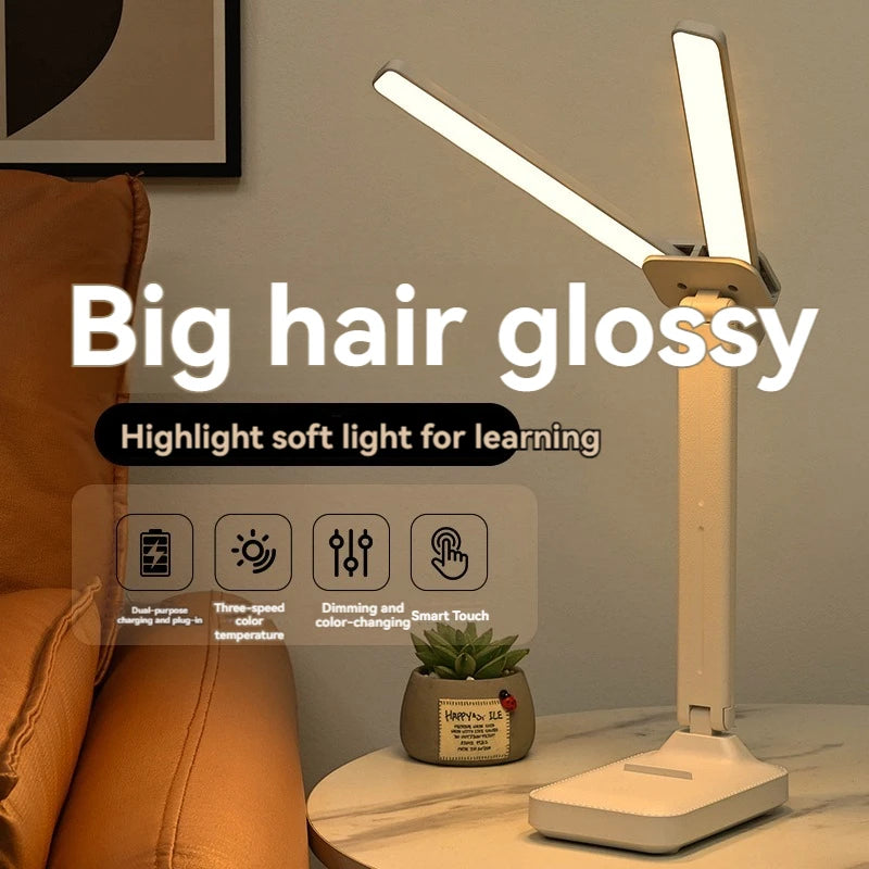 Dual Head LED Desk Lamp