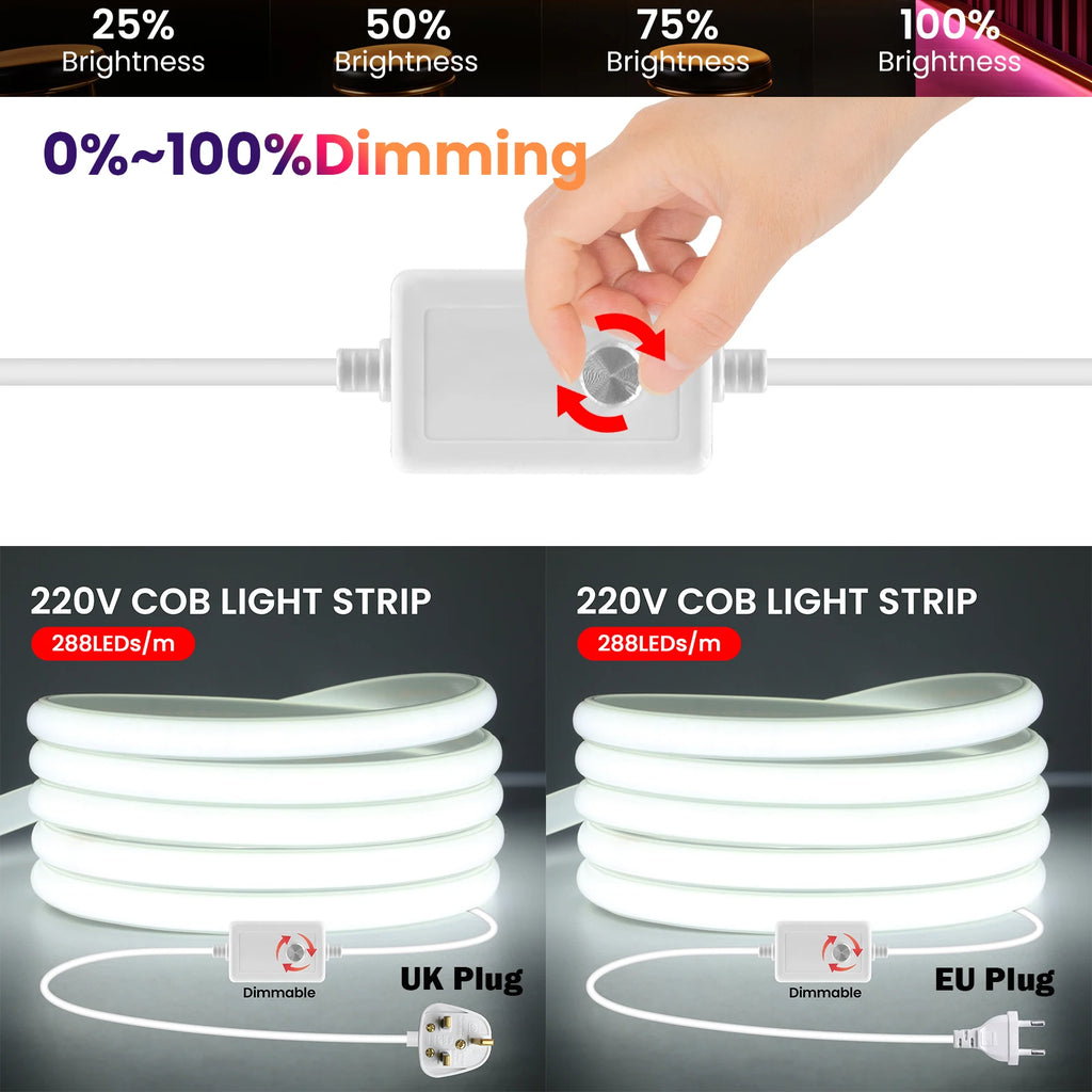 Neon Strip LED 1M-25M