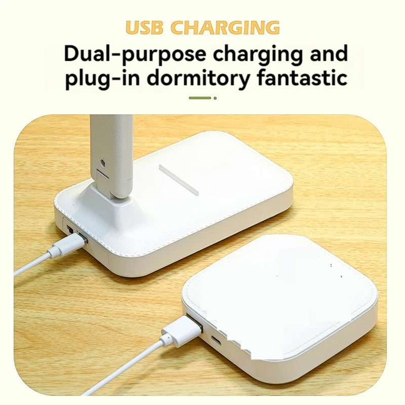 Dual Head LED Desk Lamp